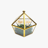 679. Geometric Pentagon Ring Box